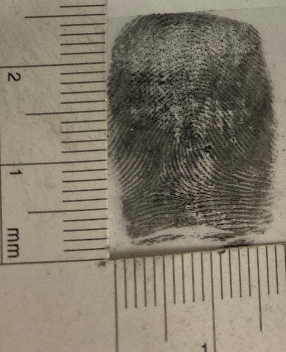 National Certificate in Criminology and Forensics