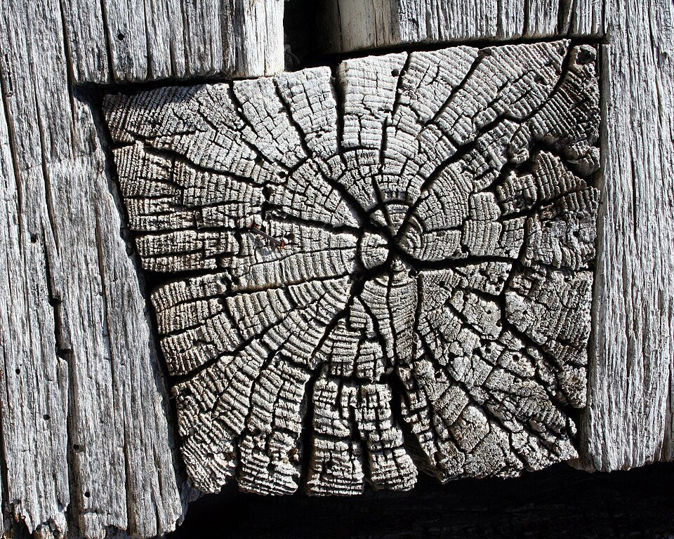 Close-up of a dovetail timber joint showing interlocking joinery.